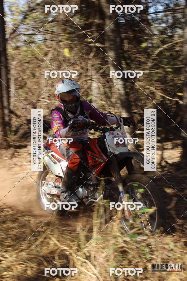 Buy your photos of the event3 Trilho dos Frangos on Fotop