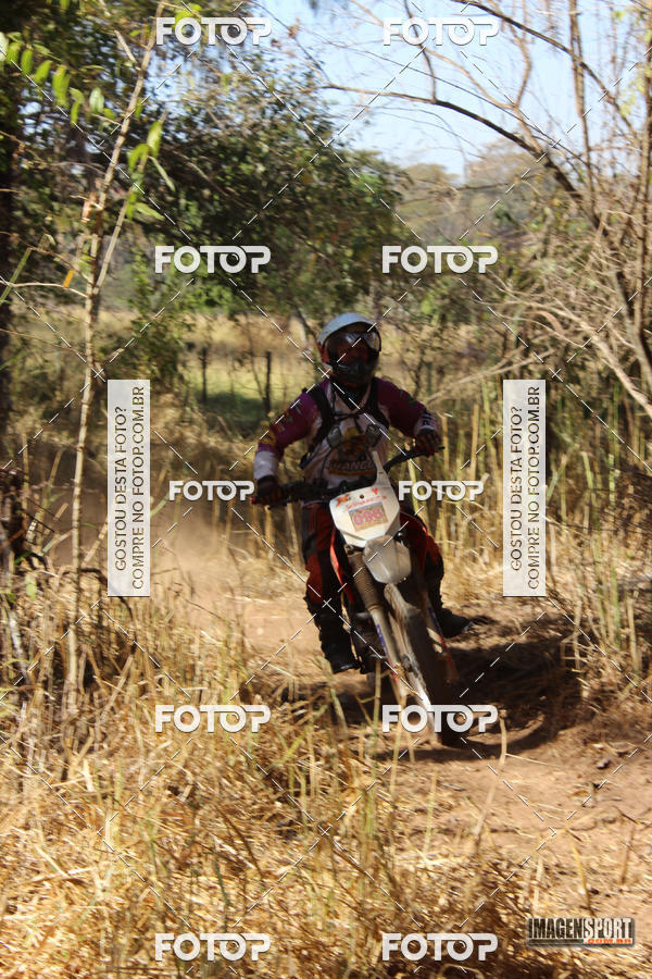 Buy your photos of the event3 Trilho dos Frangos on Fotop