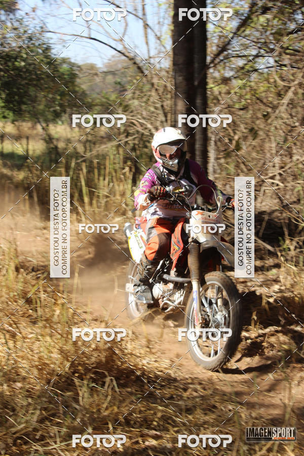 Buy your photos of the event3 Trilho dos Frangos on Fotop