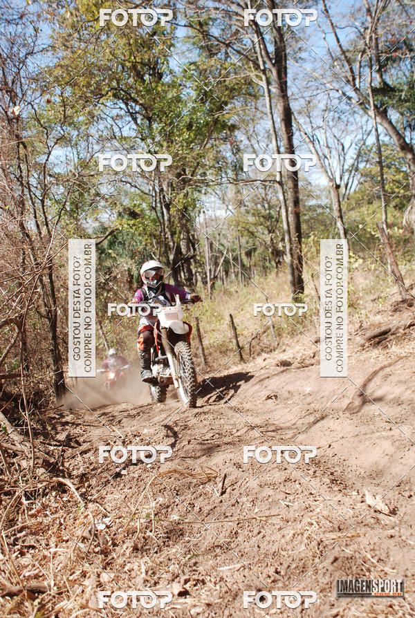 Buy your photos of the event3 Trilho dos Frangos on Fotop