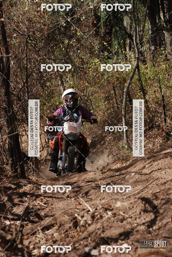 Buy your photos of the event3 Trilho dos Frangos on Fotop