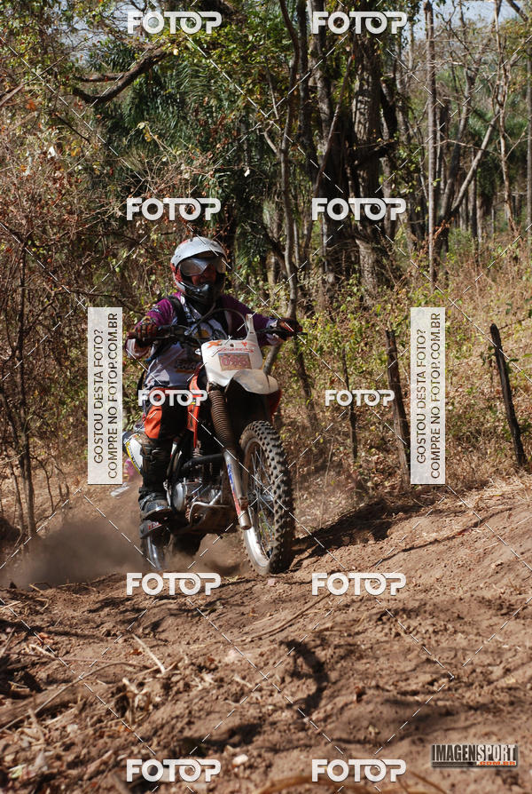 Buy your photos of the event3 Trilho dos Frangos on Fotop