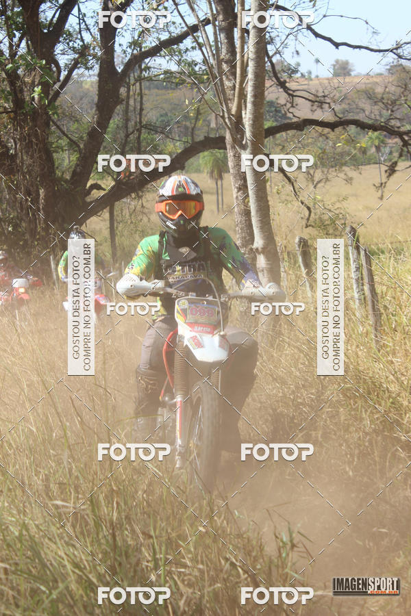 Buy your photos of the event3 Trilho dos Frangos on Fotop