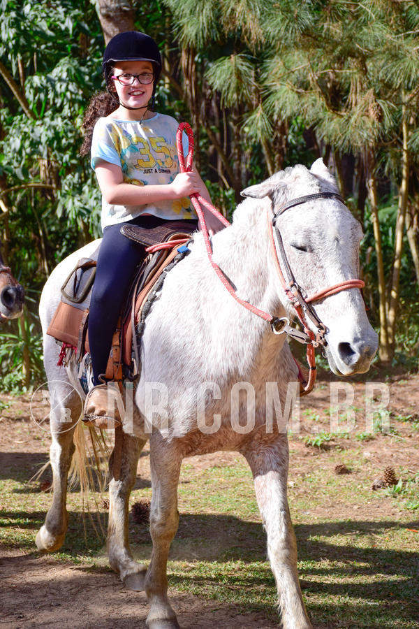 Buy your photos of the eventNR1 - Cl�ssico de 23 a 27/07/18 on Fotop