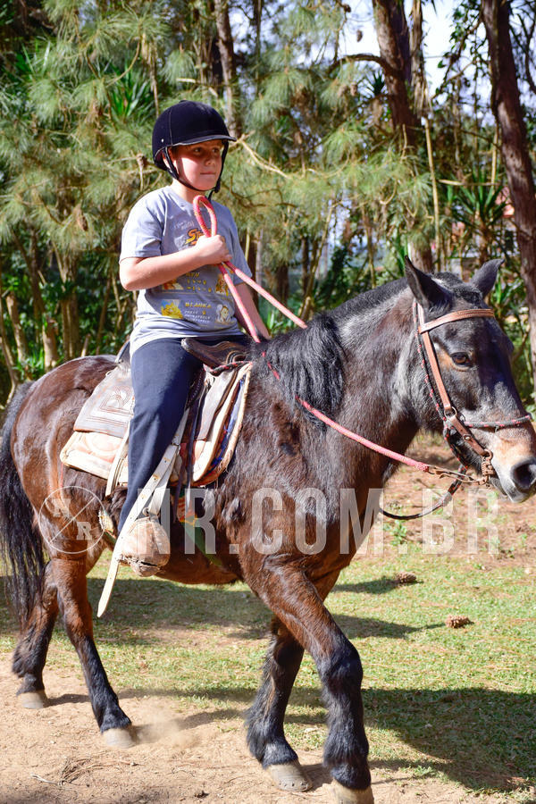 Buy your photos of the eventNR1 - Cl�ssico de 23 a 27/07/18 on Fotop