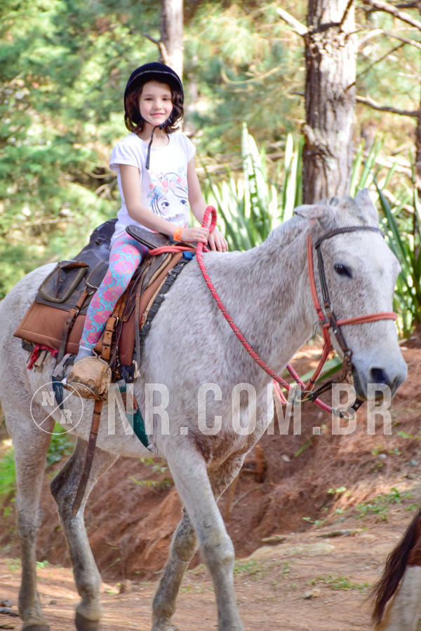 Buy your photos of the eventNR1 - Cl�ssico de 23 a 27/07/18 on Fotop