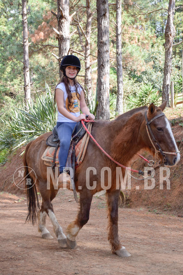 Buy your photos of the eventNR1 - Cl�ssico de 23 a 27/07/18 on Fotop