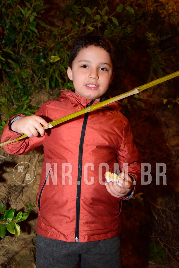 Buy your photos of the eventNR2 - NRB 23 a 29/07/18 on Fotop