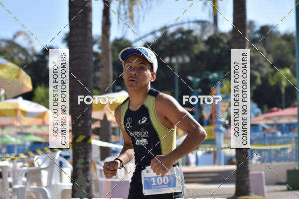 Buy your photos of the eventACQUAFEST Wet�n Wild on Fotop