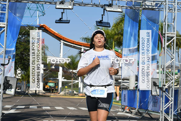 Compre suas fotos do eventoACQUAFEST Wet�n Wild no Fotop