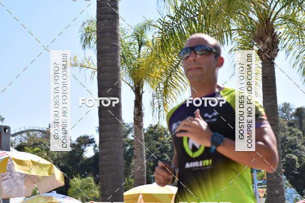 Buy your photos of the eventACQUAFEST Wet�n Wild on Fotop