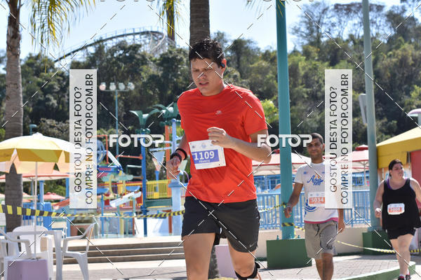 Buy your photos of the eventACQUAFEST Wet�n Wild on Fotop