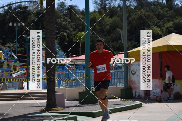 Buy your photos of the eventACQUAFEST Wet�n Wild on Fotop