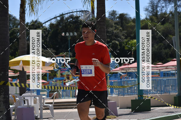 Buy your photos of the eventACQUAFEST Wet�n Wild on Fotop