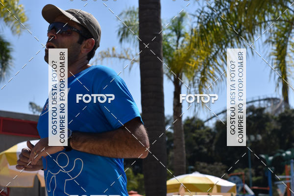 Buy your photos of the eventACQUAFEST Wet�n Wild on Fotop