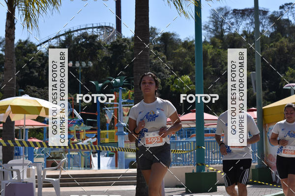 Buy your photos of the eventACQUAFEST Wet�n Wild on Fotop