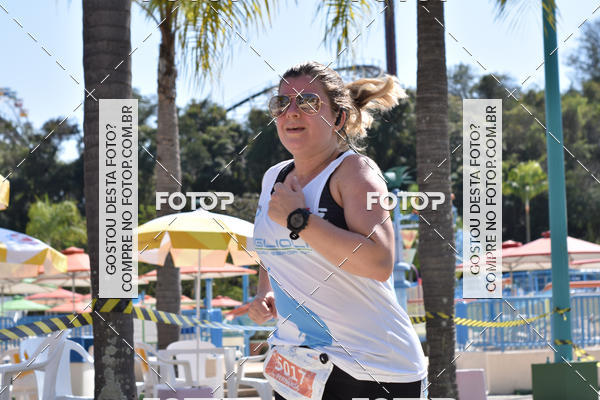 Buy your photos of the eventACQUAFEST Wet�n Wild on Fotop