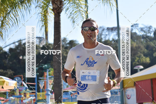 Buy your photos of the eventACQUAFEST Wet�n Wild on Fotop