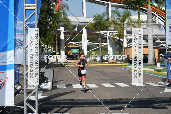 Buy your photos of the eventACQUAFEST Wet�n Wild on Fotop