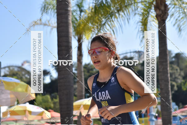 Buy your photos of the eventACQUAFEST Wet�n Wild on Fotop