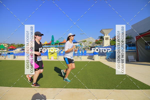 Buy your photos of the eventACQUAFEST Wet�n Wild on Fotop