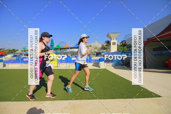 Buy your photos of the eventACQUAFEST Wet�n Wild on Fotop