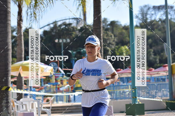 Buy your photos of the eventACQUAFEST Wet�n Wild on Fotop