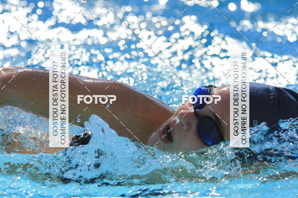 Buy your photos of the eventACQUAFEST Wetn Wild on Fotop