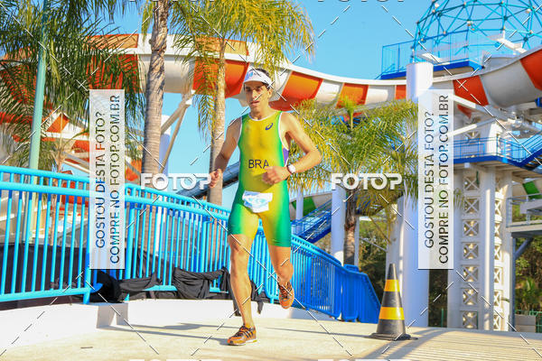 Buy your photos of the eventACQUAFEST Wet�n Wild on Fotop