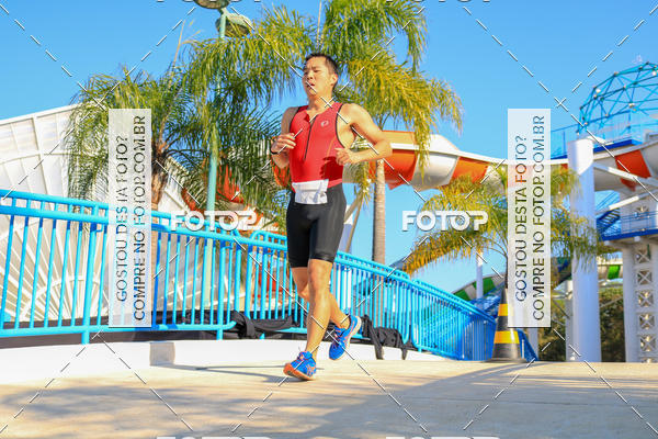 Buy your photos of the eventACQUAFEST Wet�n Wild on Fotop