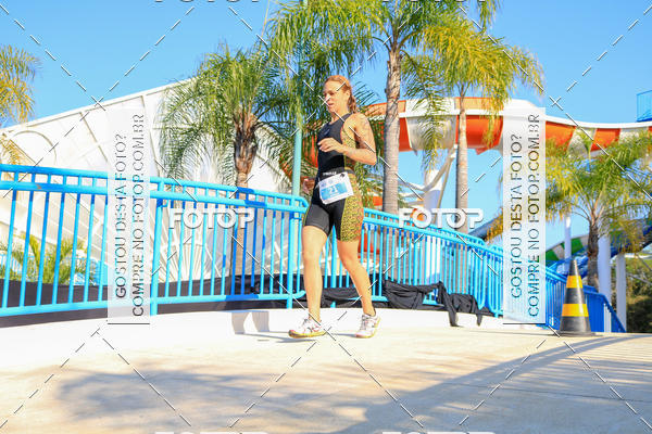 Buy your photos of the eventACQUAFEST Wet�n Wild on Fotop