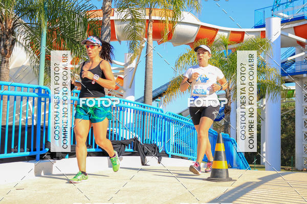 Buy your photos of the eventACQUAFEST Wet�n Wild on Fotop