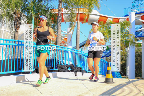 Buy your photos of the eventACQUAFEST Wet�n Wild on Fotop