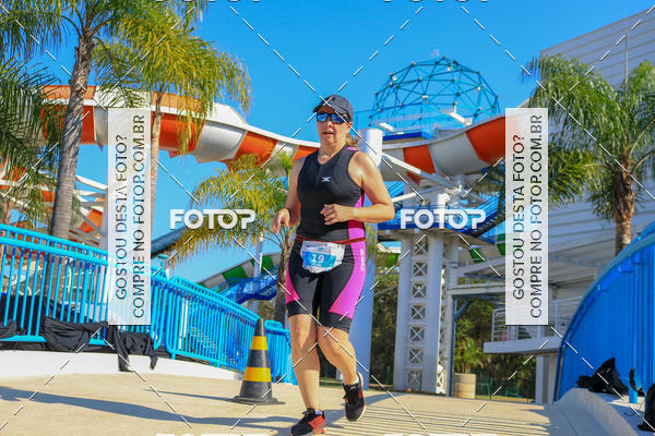 Buy your photos of the eventACQUAFEST Wet�n Wild on Fotop