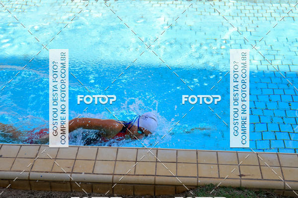 Buy your photos of the eventACQUAFEST Wet�n Wild on Fotop