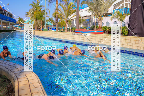 Buy your photos of the eventACQUAFEST Wet�n Wild on Fotop