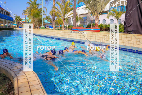 Buy your photos of the eventACQUAFEST Wet�n Wild on Fotop