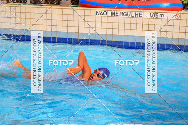 Buy your photos of the eventACQUAFEST Wet�n Wild on Fotop