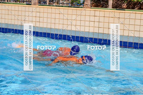 Buy your photos of the eventACQUAFEST Wet�n Wild on Fotop
