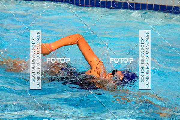 Buy your photos of the eventACQUAFEST Wet�n Wild on Fotop