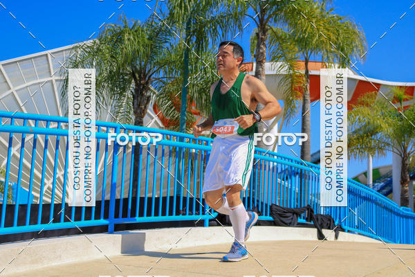 Buy your photos of the eventACQUAFEST Wet�n Wild on Fotop