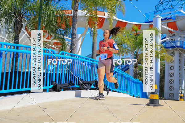 Buy your photos of the eventACQUAFEST Wet�n Wild on Fotop