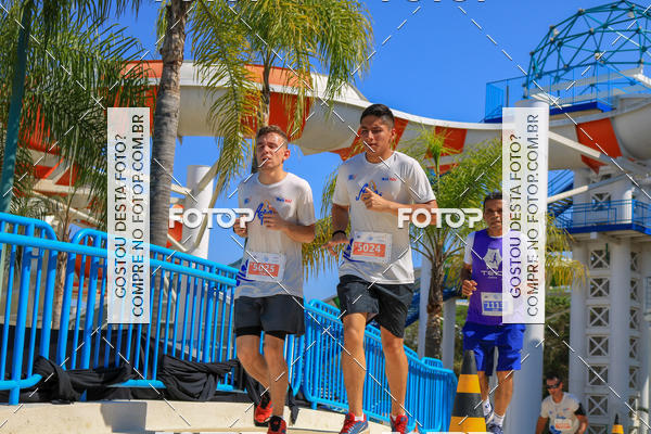 Buy your photos of the eventACQUAFEST Wet�n Wild on Fotop