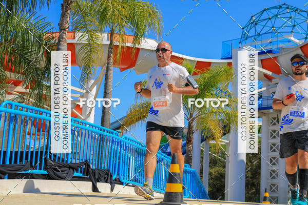 Buy your photos of the eventACQUAFEST Wet�n Wild on Fotop