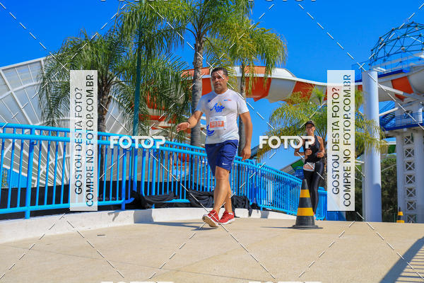 Buy your photos of the eventACQUAFEST Wet�n Wild on Fotop
