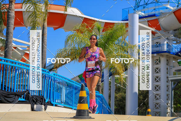 Buy your photos of the eventACQUAFEST Wet�n Wild on Fotop