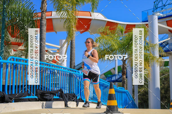 Buy your photos of the eventACQUAFEST Wet�n Wild on Fotop