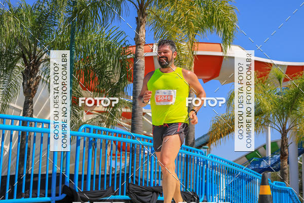 Buy your photos of the eventACQUAFEST Wet�n Wild on Fotop