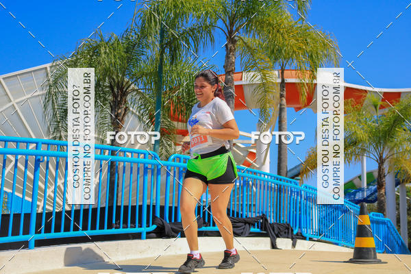 Buy your photos of the eventACQUAFEST Wet�n Wild on Fotop