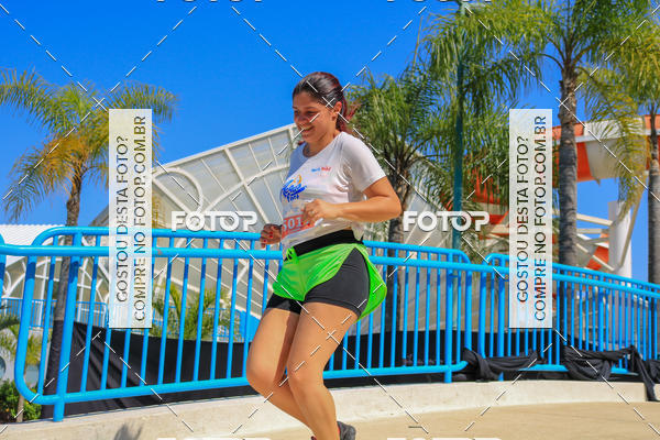 Buy your photos of the eventACQUAFEST Wet�n Wild on Fotop